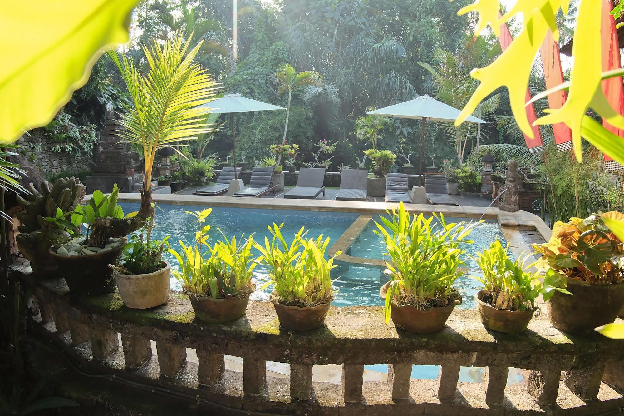 Ketut'S Place Bed & Breakfast Ubud Bagian luar foto